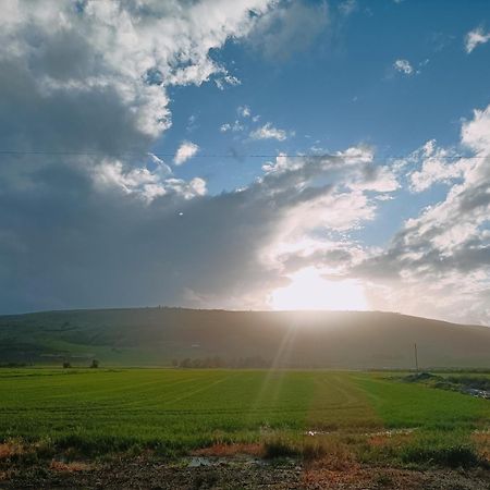 בגג העמק On The Roof Of The Valley HaZor'im ภายนอก รูปภาพ
